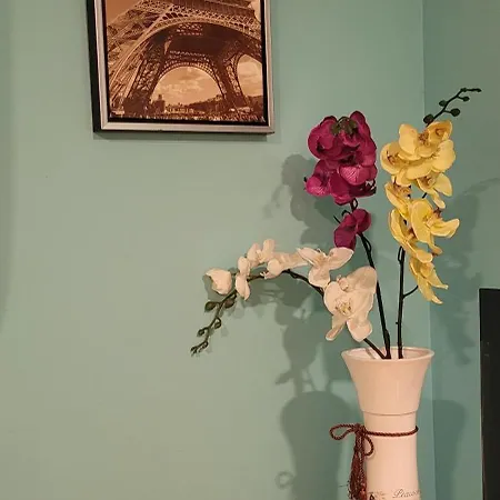 Apartamento Mini Bouquet *