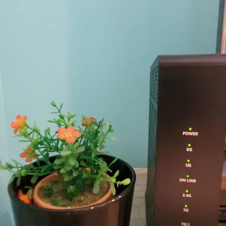 Mini Bouquet Apartament *