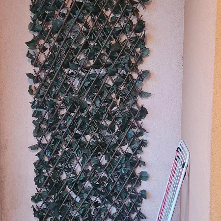 Apartament Mini Bouquet *
